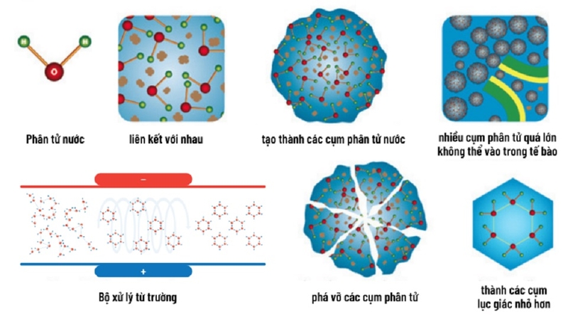 Công nghệ lọc từ trường và những thông tin có thể bạn chưa biết